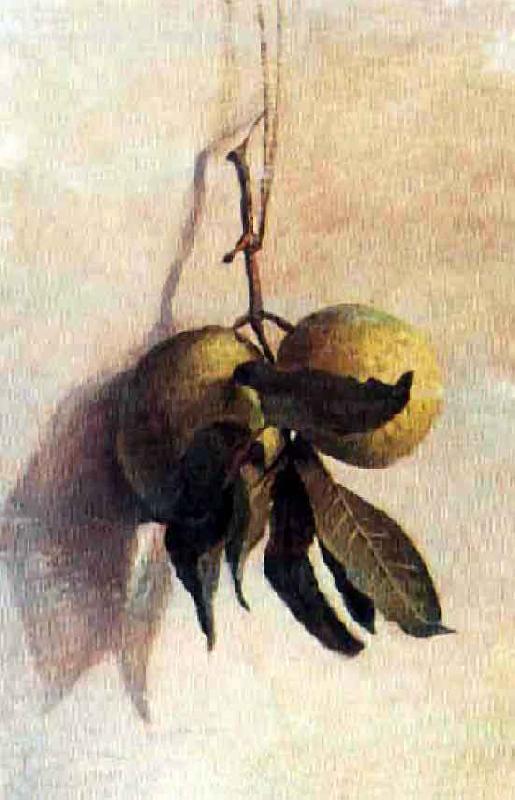 Benedito Calixto Guava oil painting image